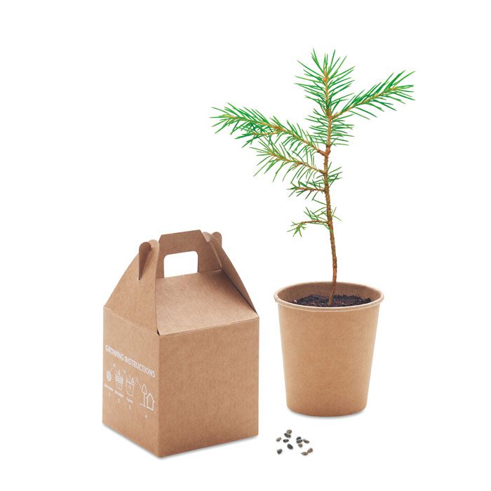 GROWTREE™ – Image 3