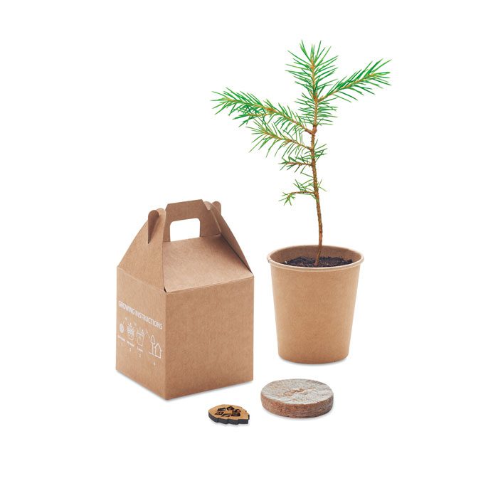 GROWTREE™ – Image 4